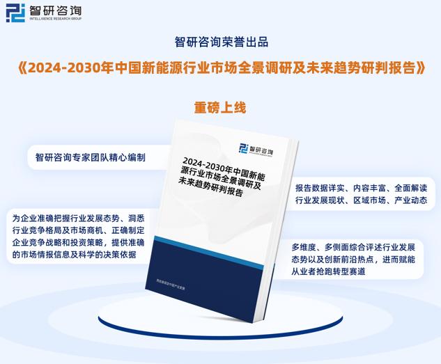 2024新奥资料免费公开,平衡指导策略_Tizen84.39