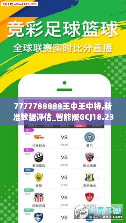 77777788888王中王中特亮点,功能性操作方案制定_桌面版58.705