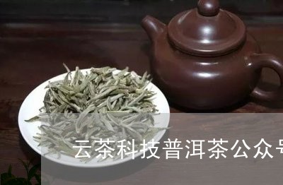 云茶在线，重塑茶叶行业的数字化未来之路