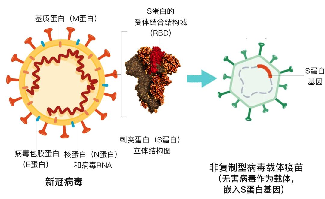 腾讯在疫苗研发与应用的前沿，科技巨头与疫苗领域的最新进展探索