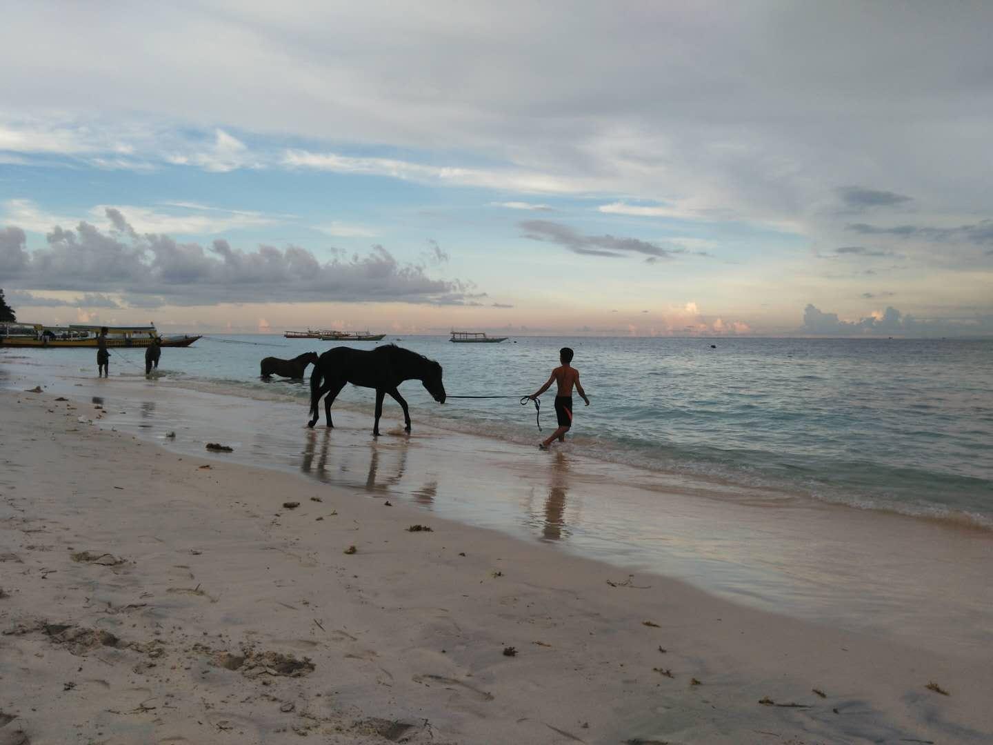 深海探秘，潜水视频的魅力与启示