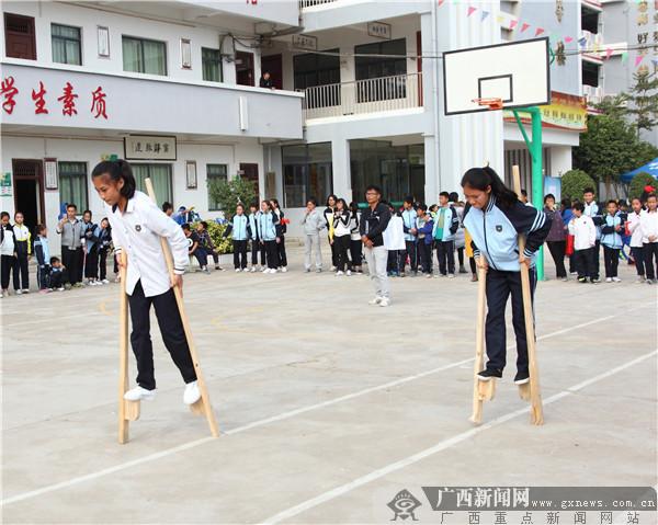 最新园艺路，绿色生态与都市美学的完美融合之路