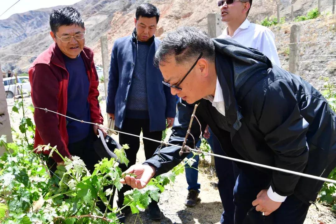 左贡县未来繁荣与生态和谐蓝图发展规划揭秘