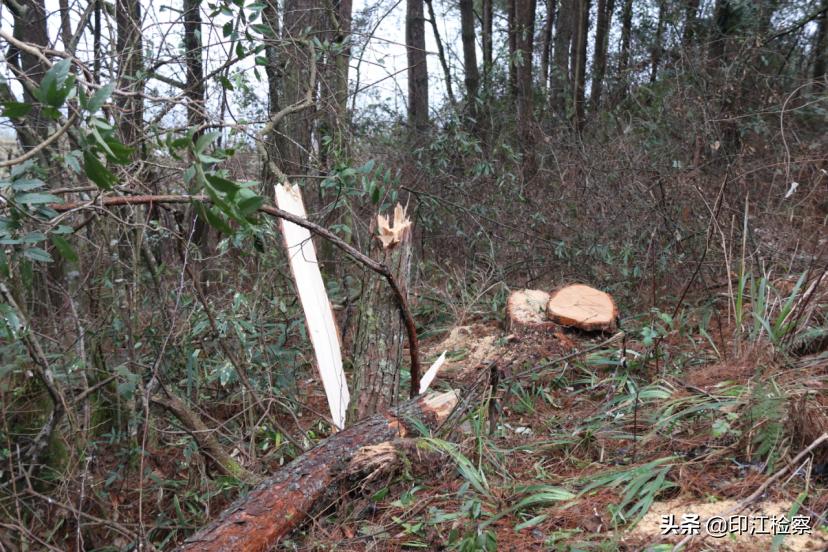 梵净山最新概况概览