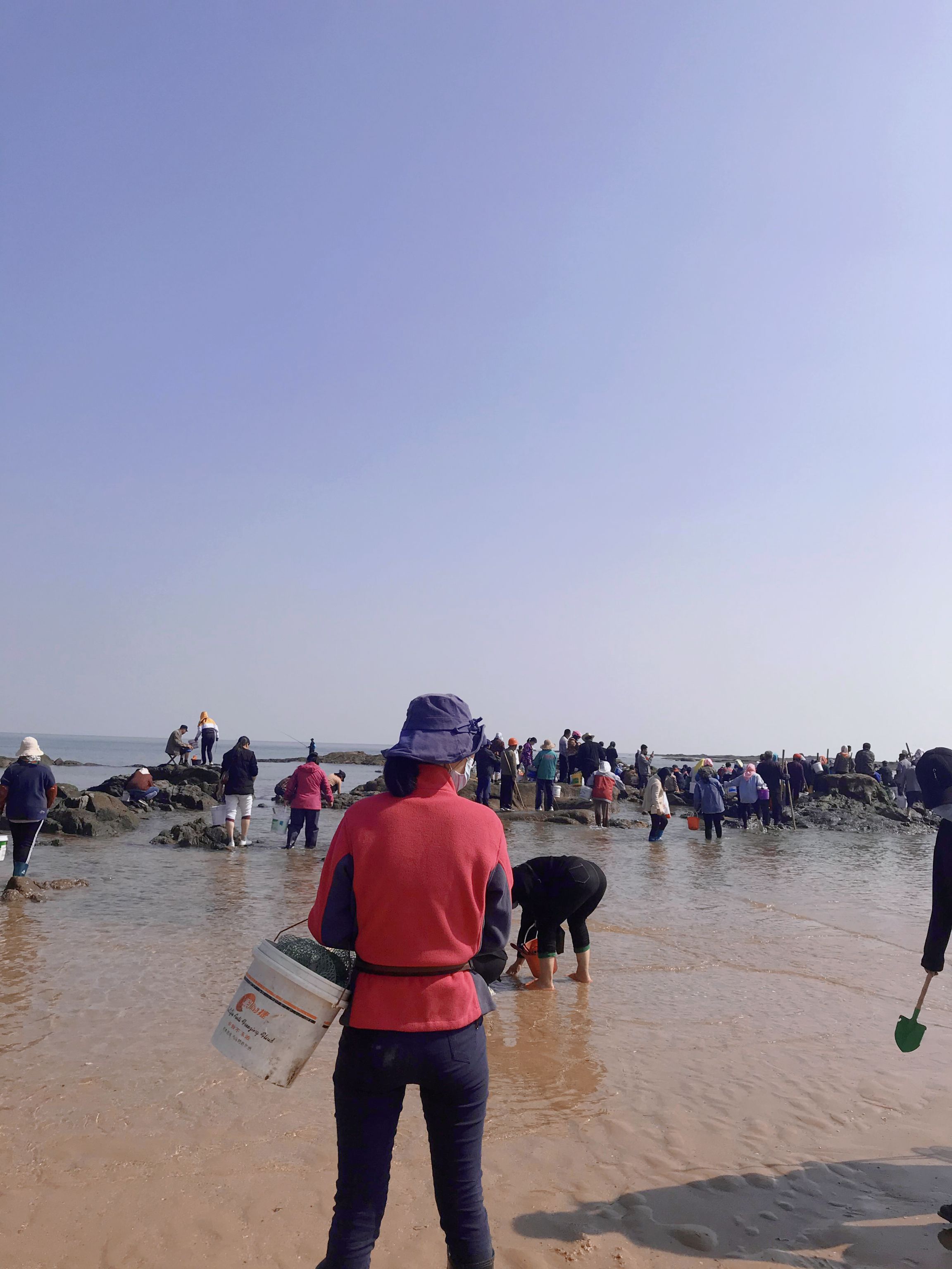 日照赶海最新体验，探索海洋宝藏的奇妙之旅