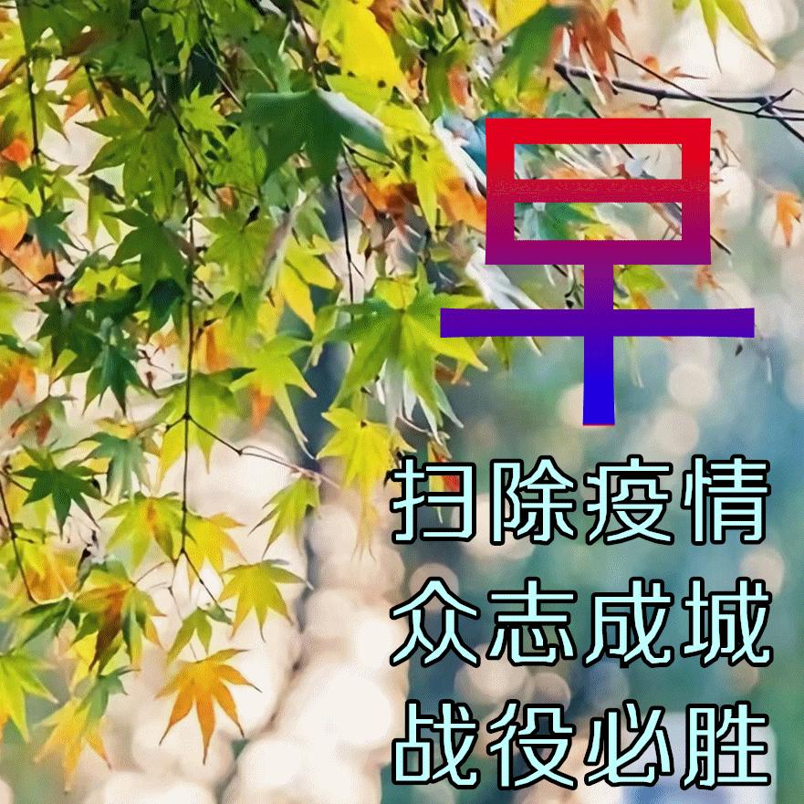 全球共同应对挑战与希望，最新疫情的最新进展与前景展望