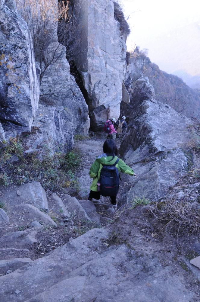 秦岭登山之旅，挑战自然，领略生命活力